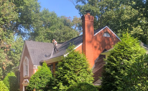 Roof-cleaning